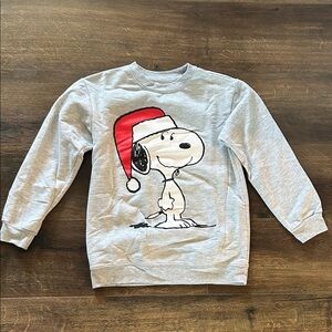 Peanuts Gray Sweatshirt with Snoopy in Red Hat
Size: L (kids)